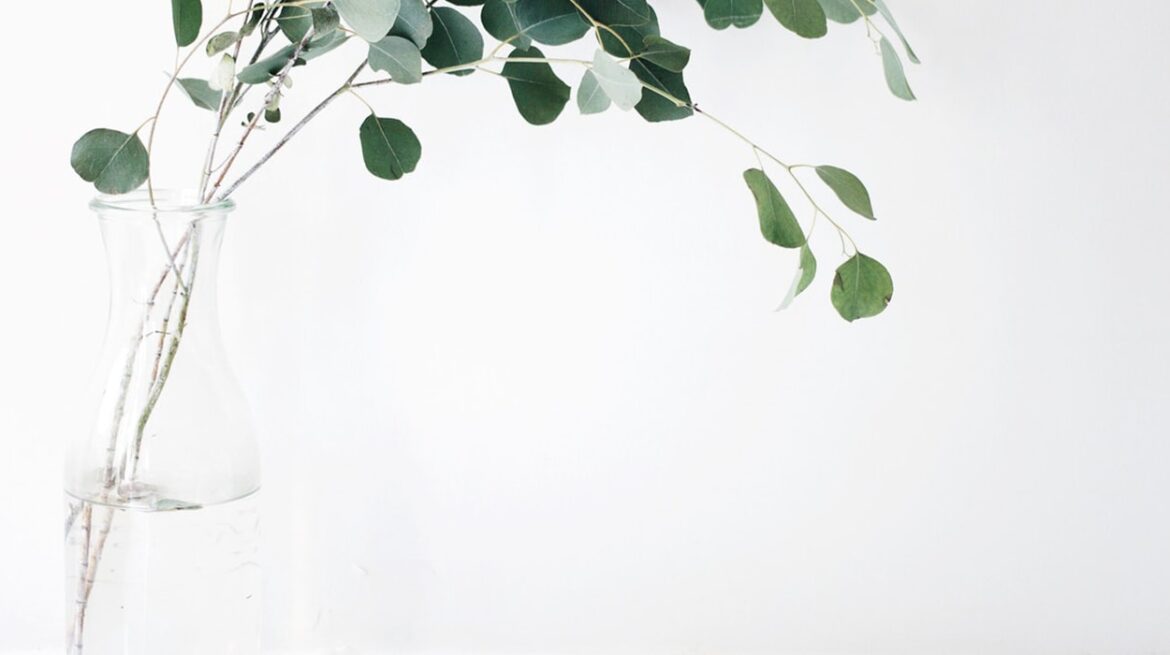 blog-09