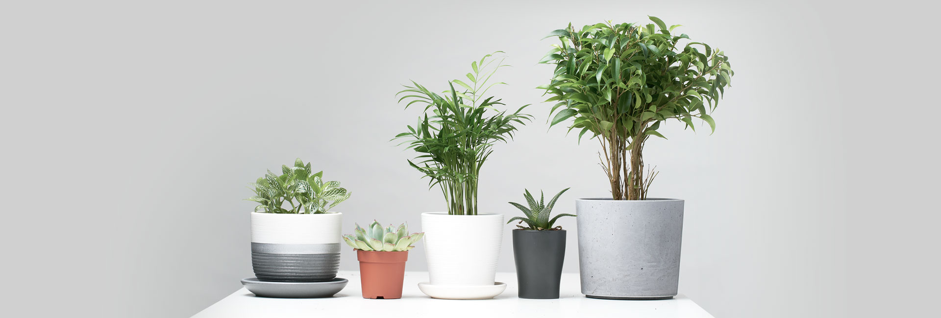 pots-planters