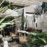 Top NASA-Recommended Indoor Plants That Thrive in Indian Homes