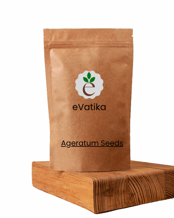 Ageratum Seeds