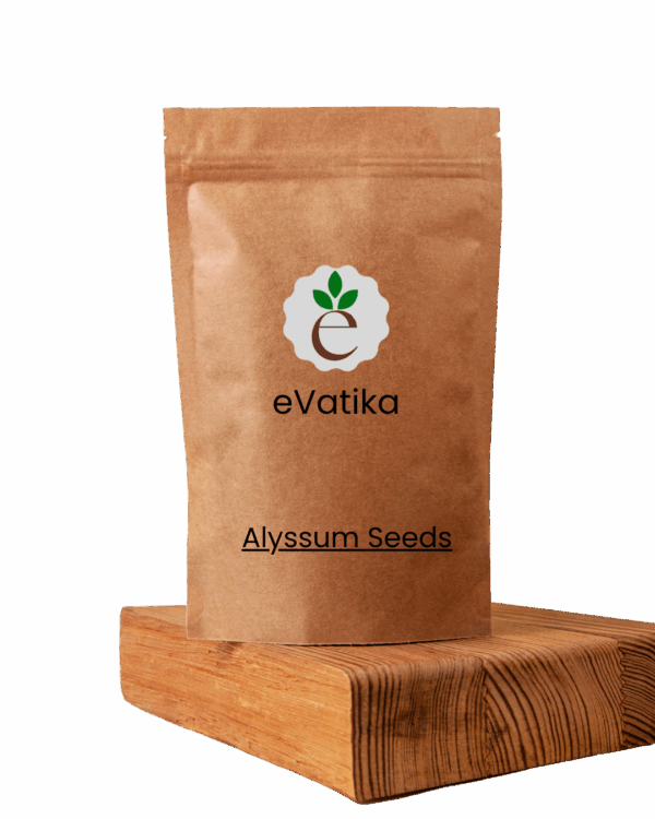 Alyssum Seeds