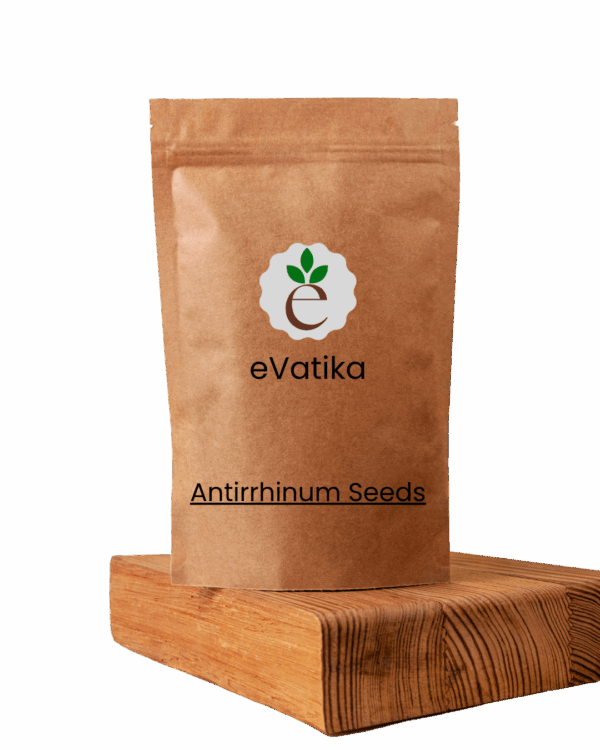 Antirrhinum Seeds