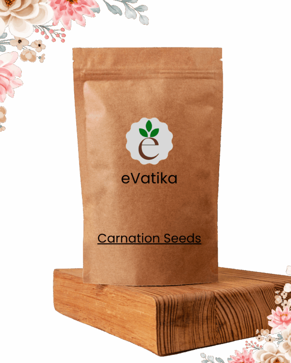 Carnation Seeds