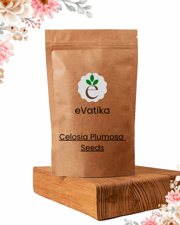 Celosia Plumosa Seeds