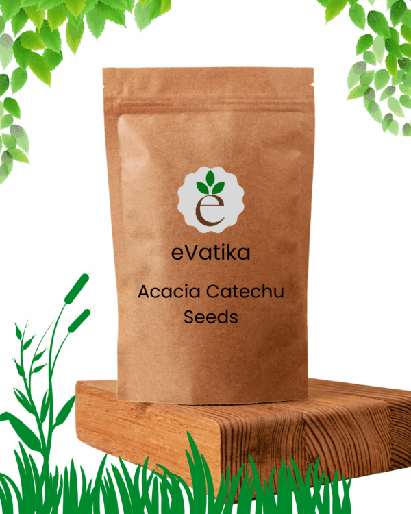 Acacia Catechu Seeds