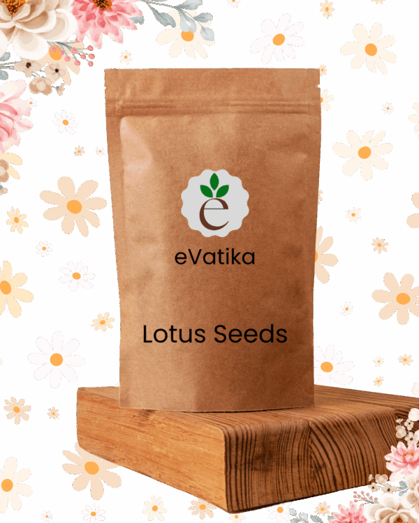 Lotus Seeds