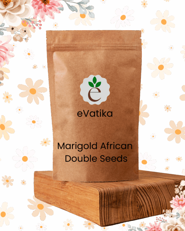 Marigold African Double Seeds