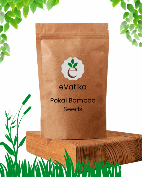 Pokal Bamboo Seeds