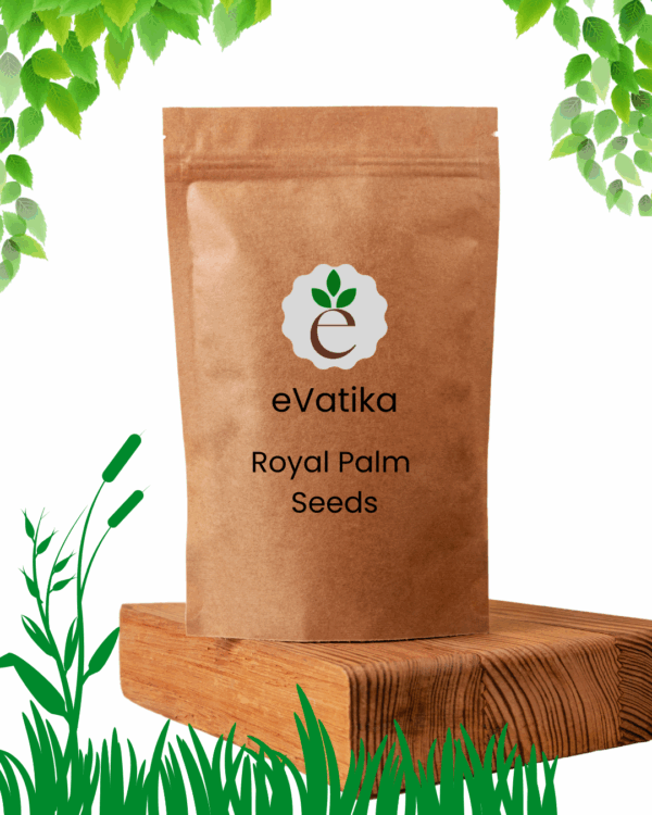 Royal Palm Seeds