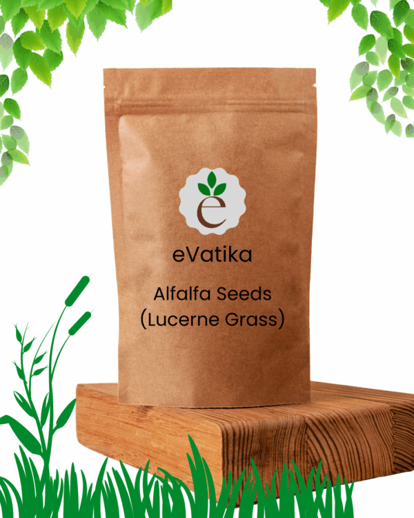 Alfalfa Seeds (Lucerne Grass)