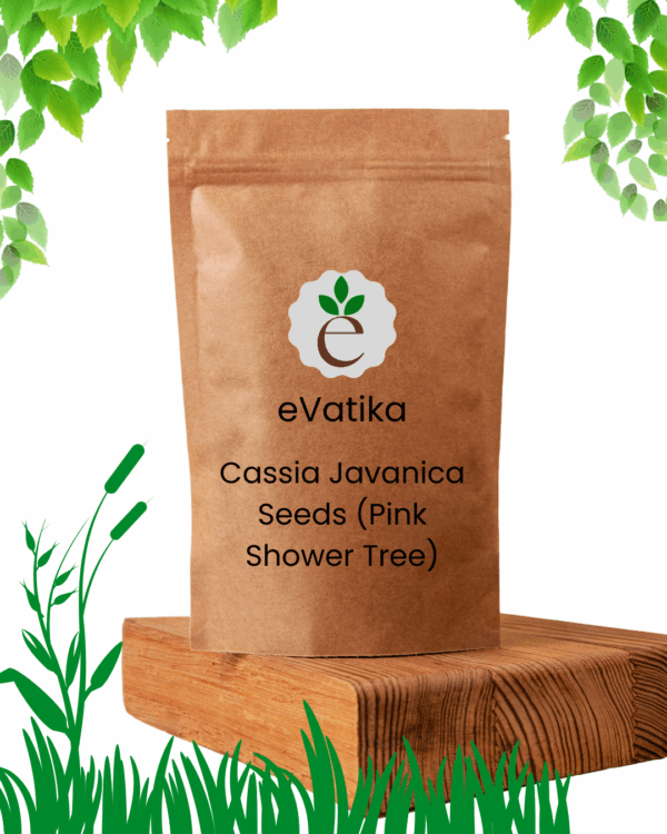 Cassia Javanica Seeds (Pink Shower Tree)