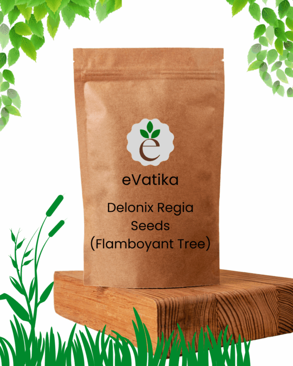Delonix Regia Seeds (Flamboyant Tree)