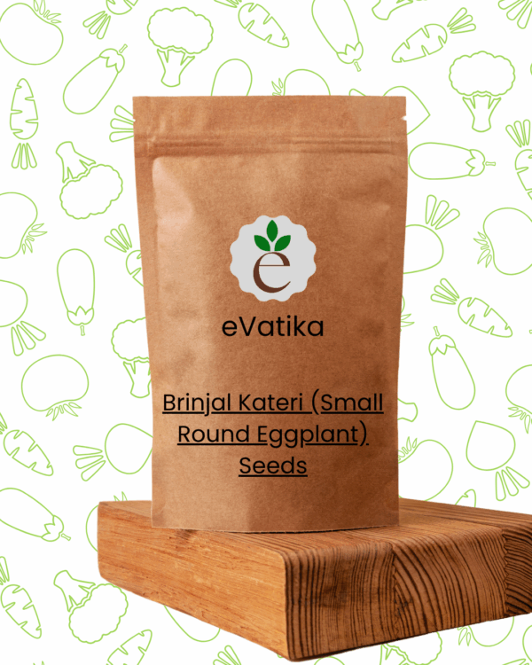 Brinjal Kateri (Small Round Eggplant) Seeds