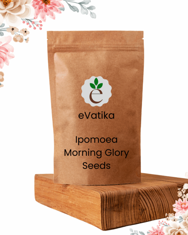 Ipomoea Morning Glory Seeds