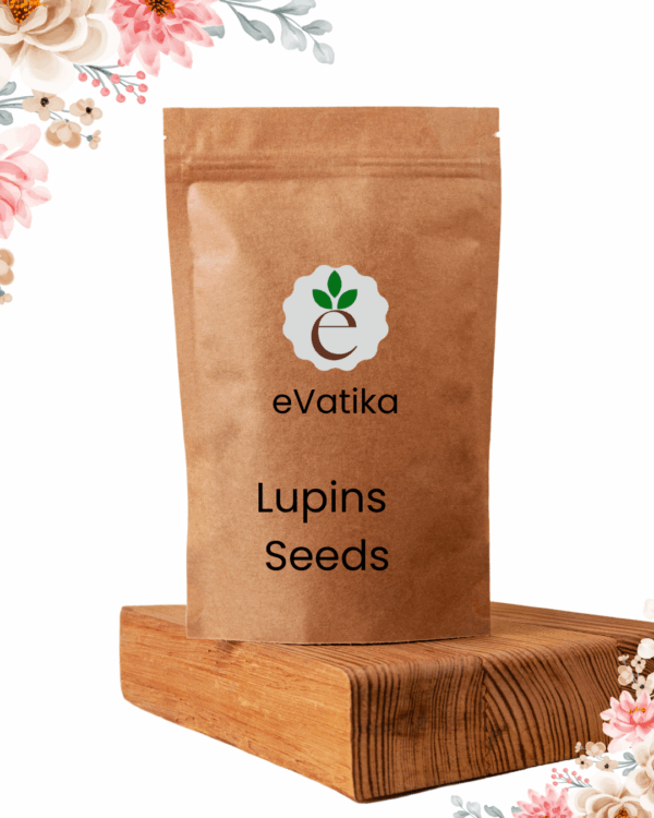 Lupins Seeds