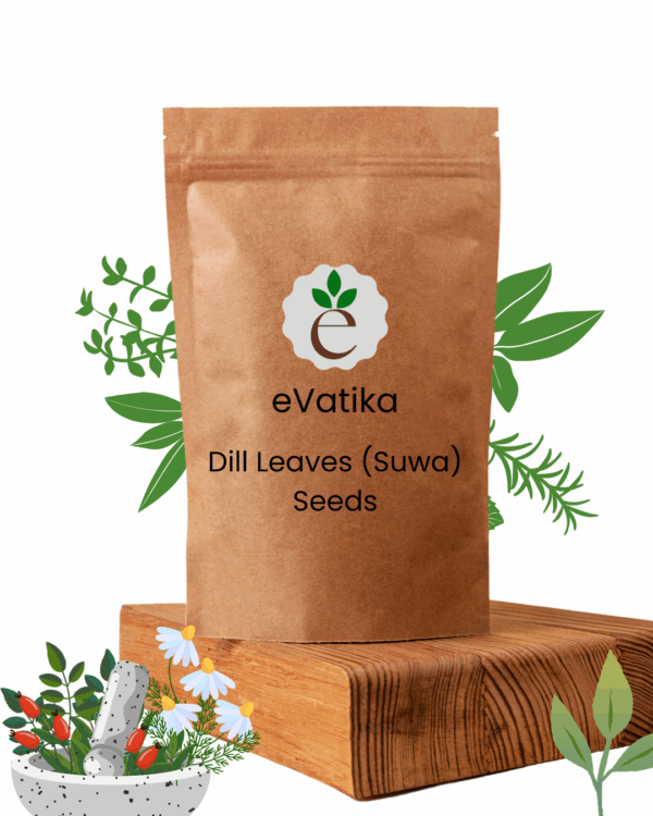 Dill Leaves (Suwa) Seeds