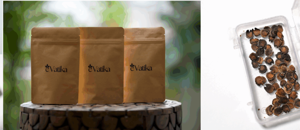 Seeds_banner
